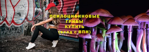 spice Армянск