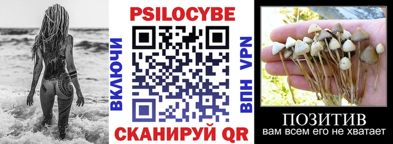 Купить где  Сатка  Псилоцибиновые грибы мицелий 